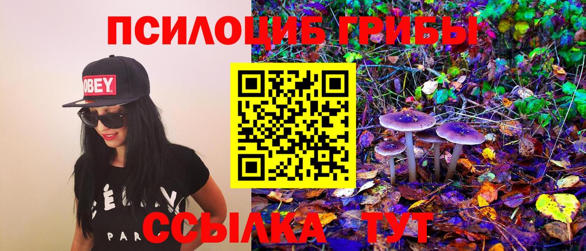 Псилоцибиновые грибы мухоморы  Галлюциногенные грибы GOLDEN TEACHER  магазин продажи наркотиков  Лиски  Вход с VPN 